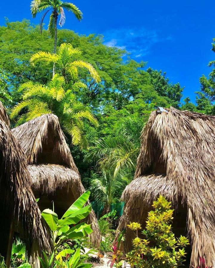 Lodge Buena Onda Playa Santa Teresa (Puntarenas)